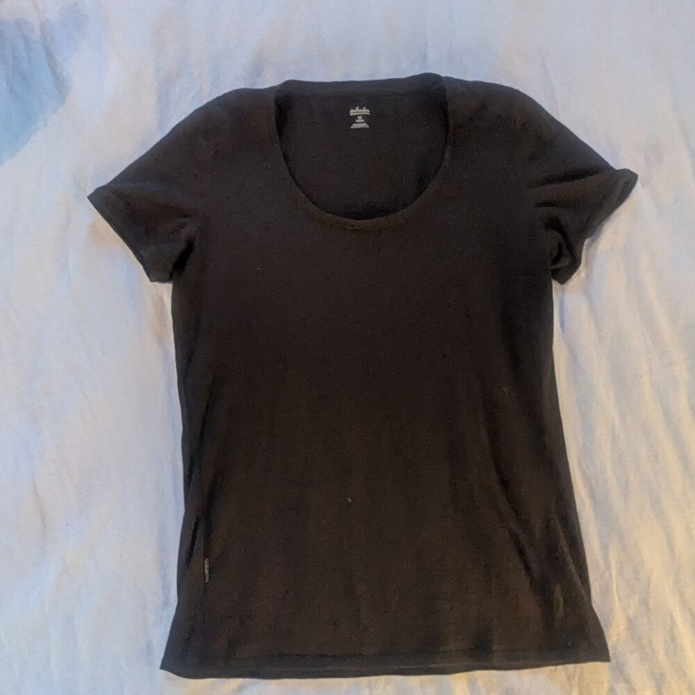 Icebreaker 100% Merino Tee